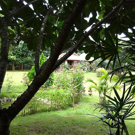 Orange Grove Resort Pai Bagian luar foto
