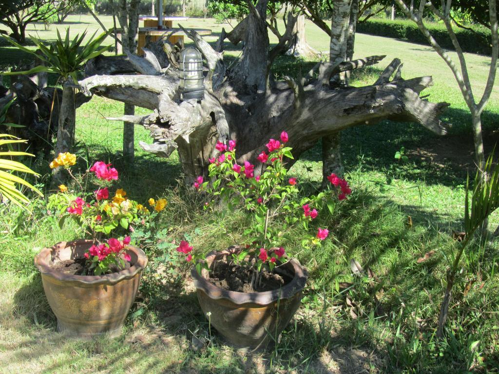 Orange Grove Resort Pai Bagian luar foto